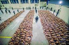 prisoners stripped salvador mobygeek crammed tightly