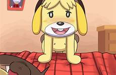 isabelle crossing animal animated gif rule34 paheal digby ban only