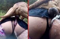 First Time Knot Horny Dog Fucks His Mistress In All Holes