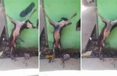 crucified torturan cruel cigarros mientras arrojan colillas criminales