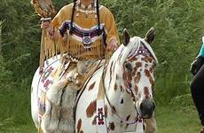 native horse american indian horses appaloosa costume americans indians woman costumes sioux war saved choose board