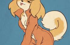 inu shiba butterscotch boobs edit respond deletion flag options leaning