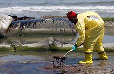 oil spill explosion dolphins rig upi study effect 2010 slick gulf impacts horizon left gases extensive deepwater reprieve florida gets