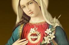 mary heart immaculate jesus beautiful mother divine mercy holy lord blessed maria virgin christian deeply moving choose board her