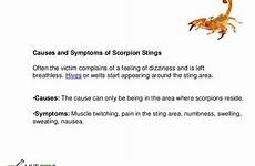 scorpion sting stings remedies