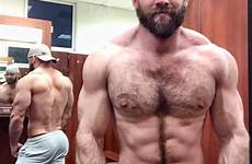 hairy men muscle bear scruffy doctor muscular chest male sexy guys choose board physique