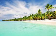 dominican republic do things coconut caribbean shutterstock amazing