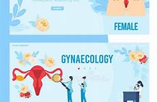 reproductive gynecology