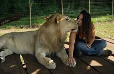lions lion woman animals pet animal den she has into coolest treat leader their pets walks lazmi top were herself
