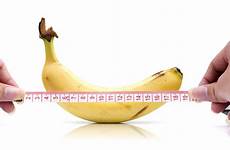penis size average length inches increase erect bluechew shutterstock study vox typical