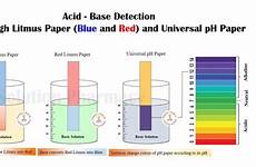 litmus paper ph solution use