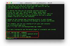 update upgrade pi raspberry automatically raspbian cron command script let through go