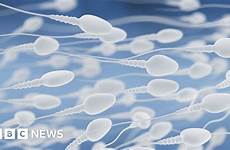 sperm caro finds staggering counts decreasing dramatically declines production