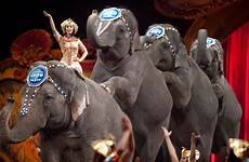 ringling animal circus elephants brothers against entertainment jumbo welfare terrierman dose daily dismissed feld case