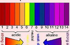 litmus alkaline indicator acidic