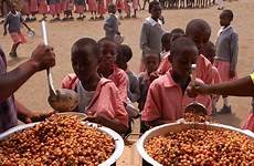 school lunch africa feeding jamaica meal growing average grade post rozzy natural life africarenewal un