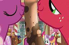 mlp sweetie belle pony little big cutie xxx apple mark macintosh rule34 scootaloo crusaders cheerilee gif bloom rule respond edit