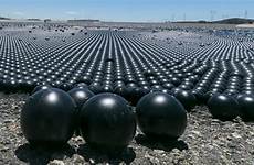 balls reservoir la ball shade experts potential disaster rollout say making warn foxnews
