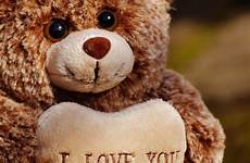 teddy bear sweet cute bears romantic animal funny plush affection stuffed friendship valentine soft toy toys friends heart pxhere