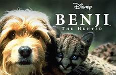 benji hunted