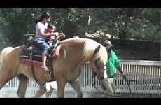 zoo horse ride