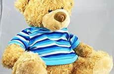 bear camera nanny hidden teddy spy wired color cams amazon