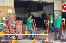 verduras frutas bodega