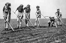 women farming during land wwii who army
