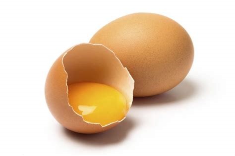 Resultado de imagen de huevo