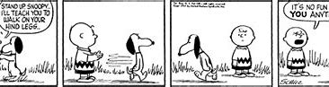 Image result for Snoopy walked on two legs for the first time.