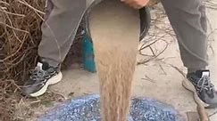 Sand on the road surface repair (ID Video 1j-WoTplq0o) #shorts #video | Ihtisham Inside Factory