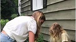 Mother and daughter discover a nest of baby bunnies in their salad garden!