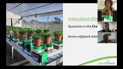 Plant Ditech webinar: Whole-Plant Identification & Quantification of Disease Progression