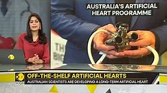 Australian scientists are developing a long-term artificial heart