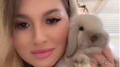 The cutest ever 🐰🫠 #fyp #bunnies #hollandlops