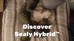 Discover Sealy Hybrid™ at Mattress Firm