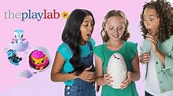 Play Lab | Hatchimals Line from Spin Master