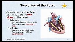 Basic Anatomy/Physiology of the Heart: Part1 of 2