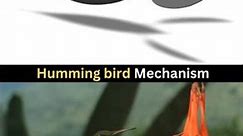 Humming Bird | Mechanical Flying Bird Mechanism #3ddesign #solidworks #birds #robots #robotics #3d