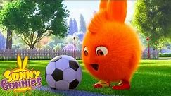 SUNNY BUNNIES - Playing Football | Season 2 | Cartoons for Children