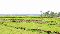 Visit Kisumu - The Ahero Rice Irrigation Scheme is located...