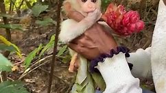 Kind Lady Accidentally Found THe Most Cute White Baby In The Forest