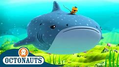 @Octonauts - The Whale Shark 🐋🦈 | Season 1 | Full Episodes | Cartoons for Kids