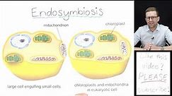 What is Endosymbiosis?