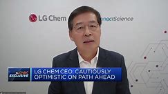LG Chem CEO: EV penetration paints bright outlook