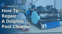 How To: Repair A Dolphin Pool Cleaner