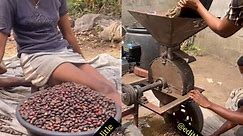 How to get palm kernel from palm fruit to make m@ney