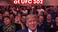 Crowd Goes Crazy when Donald Trump arrives at UFC 302 #ufc #ufc302 #donaldtrumpnews #trump #jre