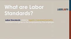 Labor Standards 1 - Masterclass 2024