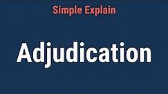 What Is Adjudication? Definition, How It Works, Types, and Example